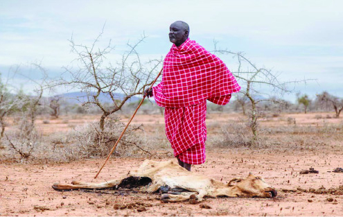 Man with a stick standing next to a carcass in drought